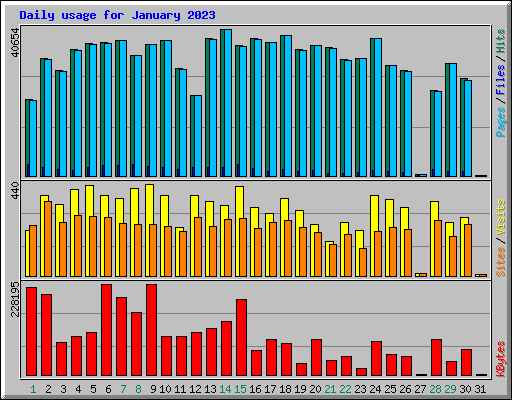 Daily usage for January 2023