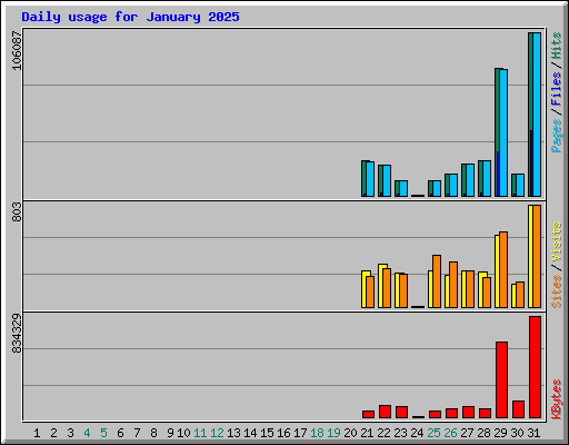 Daily usage for January 2025