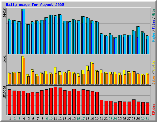 Daily usage for August 2025