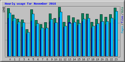 Hourly usage for November 2016