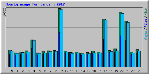 Hourly usage for January 2017