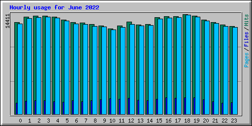 Hourly usage for June 2022