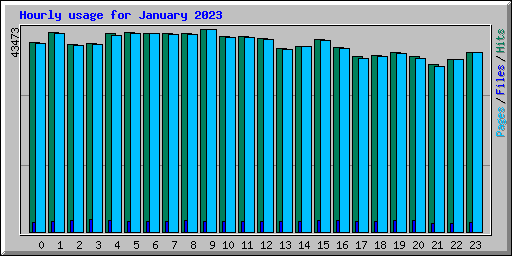 Hourly usage for January 2023