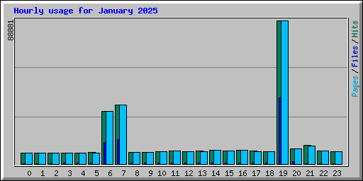 Hourly usage for January 2025