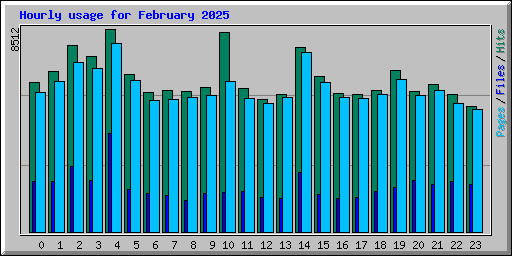 Hourly usage for February 2025