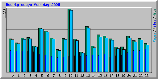 Hourly usage for May 2025