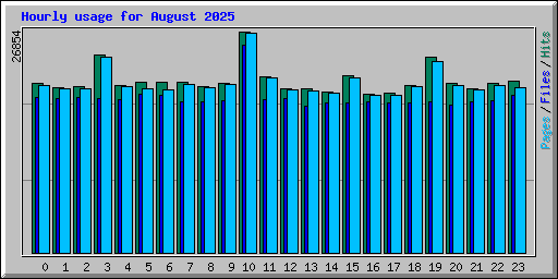 Hourly usage for August 2025