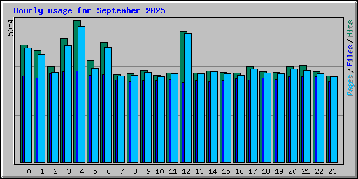 Hourly usage for September 2025