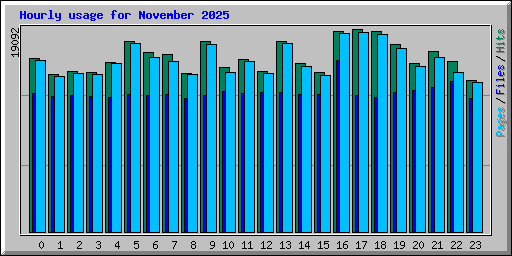 Hourly usage for November 2025