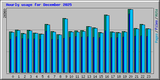 Hourly usage for December 2025