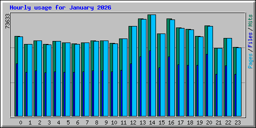 Hourly usage for January 2026