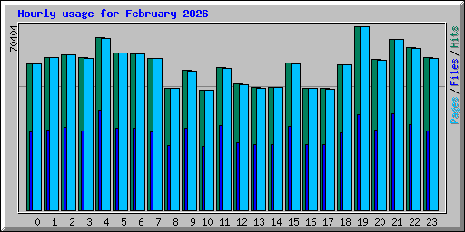Hourly usage for February 2026