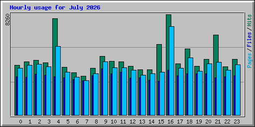 Hourly usage for July 2026