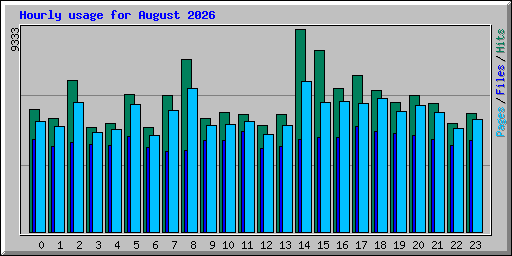 Hourly usage for August 2026